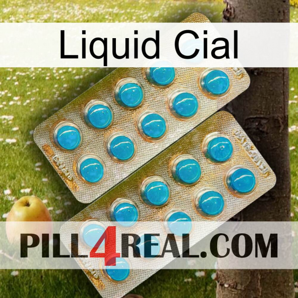 Liquid Cial new08.jpg